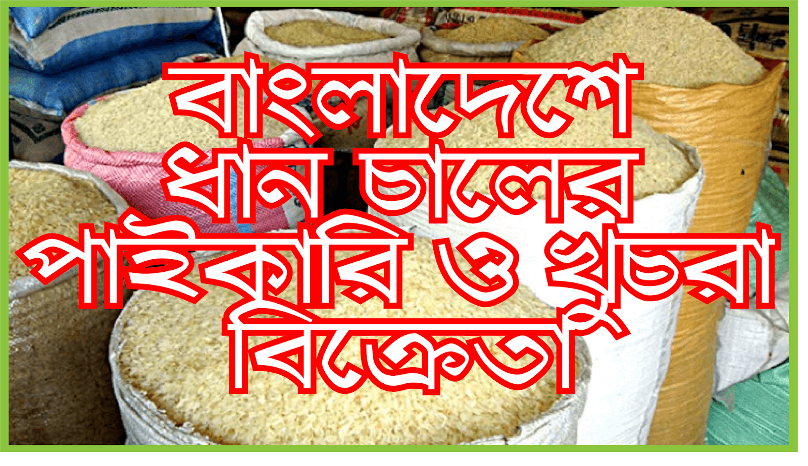 বাংলাদেশে ধান চালের পাইকারি ও খুচরা বিক্রেতা ।। Rice paddy wholeseller in Dhaka