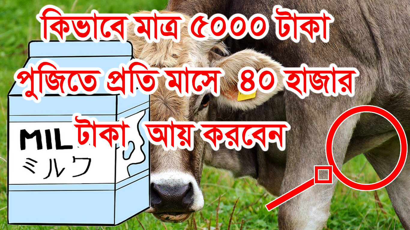 অল্প পুজিতে লাভজনক ব্যবসা করুন। Cow milk supply business with low investment