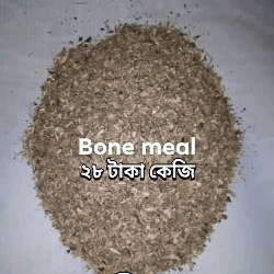 Bone meal In Bangladesh