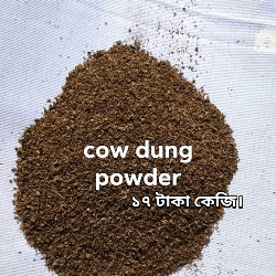 dry cow dung powder । শুকনো গরুর গোবর ।