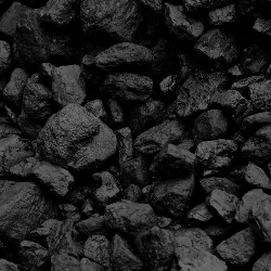 Bangladeshi Coal Suppliers and Importer