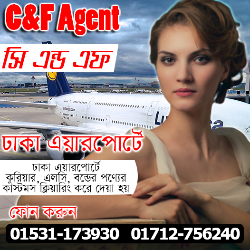Are you looking for a Airport Customs Clearing & Forwarding (C&F) Agents