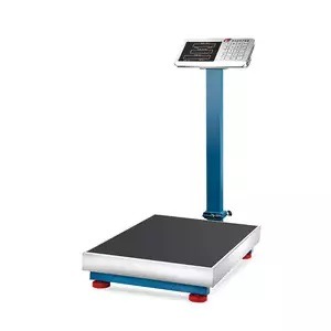 Digital Weighing Scale, 250kg, Full Stainless Steel Body, without Fence