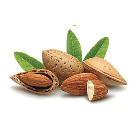 Kath Badam (Almond) -1 KG কাঠ বাদামের দাম