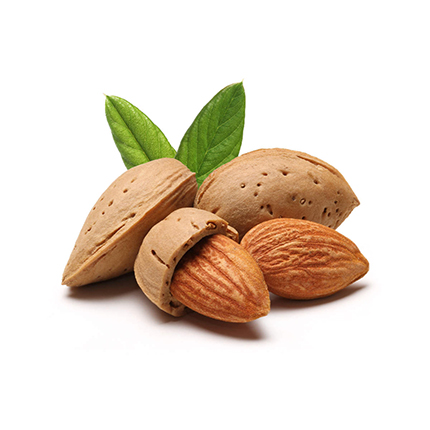 Almonds (Kath Badam) কাঠ বাদাম - 1000 gm