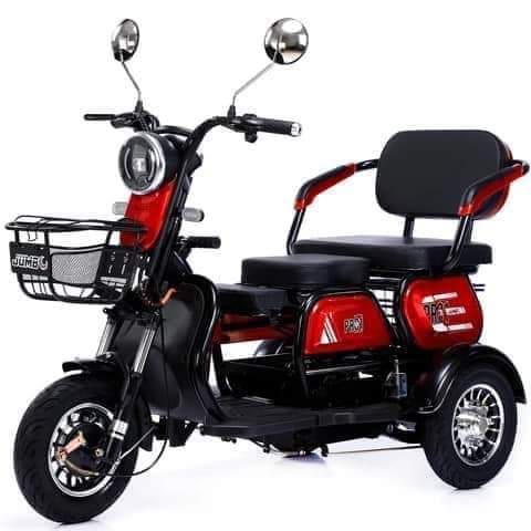 800W Electric Tricycle Household Small Scooter Three-seat Adjustable Electric Tricycle (শ্যাডো ডিসেন্ট ইলেকট্রিক বাইক )