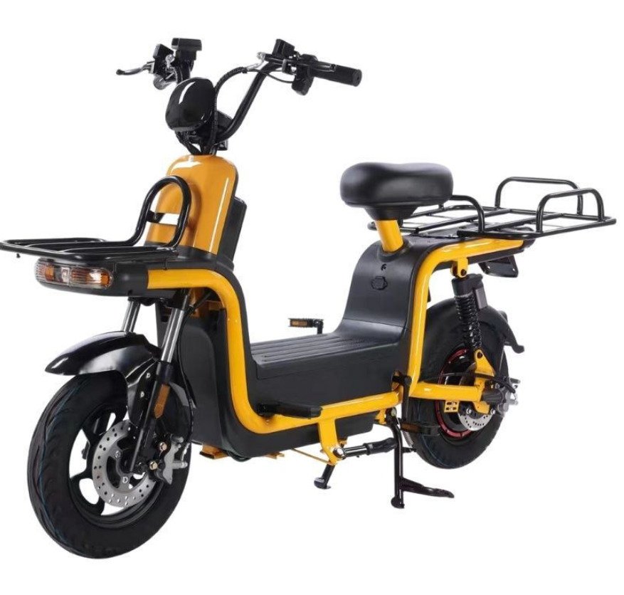 OEM-ODM electric city bike motor bike dual battery ebike enclosed bicicleta eletrica 1000w electric bicycle with high power