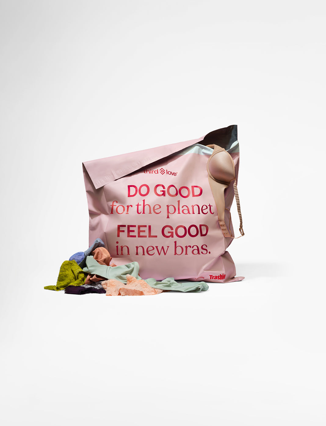 The Take Back Bag thumbnail 2