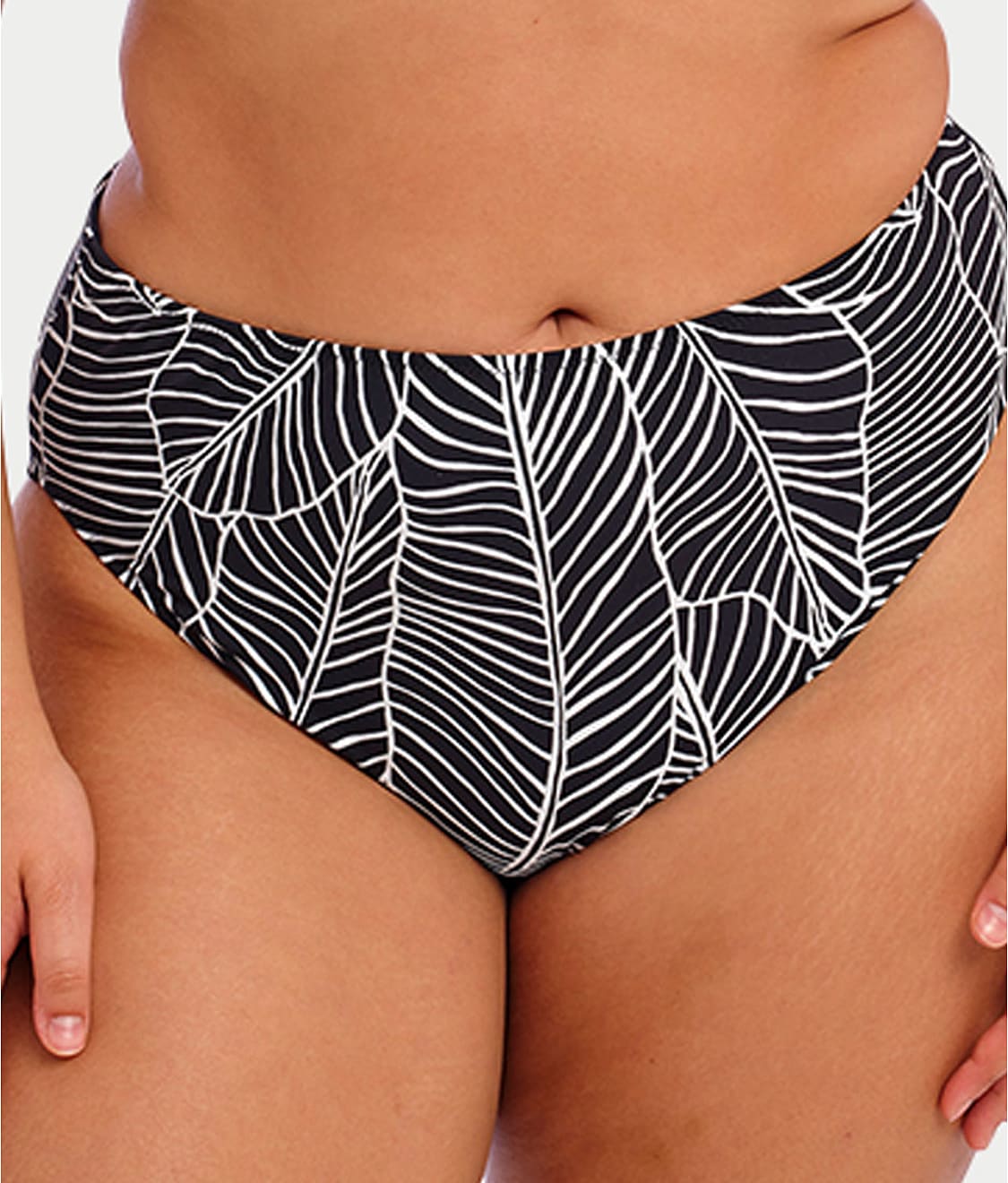Plus Size Kata Beach Mid-Rise Bikini Bottom thumbnail 3