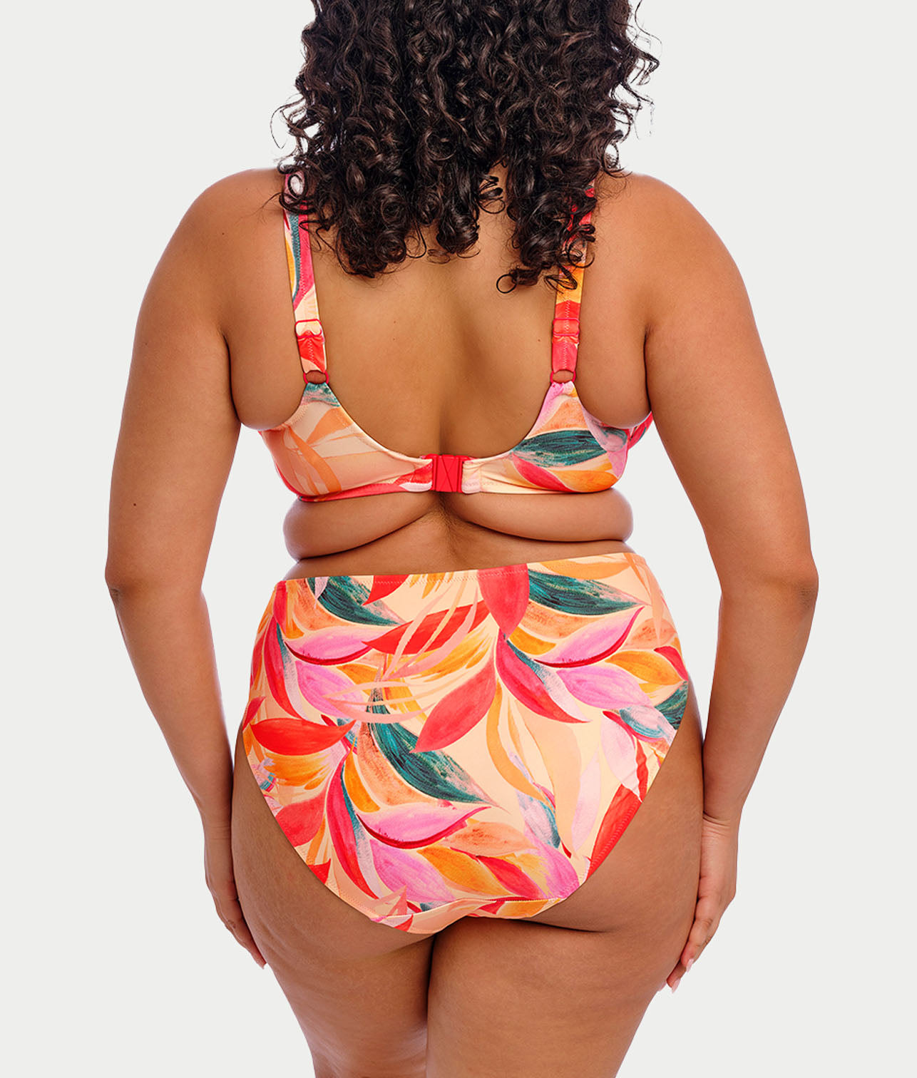 Plus Size Sancho Beach Mid Rise Bikini Bottom thumbnail 2