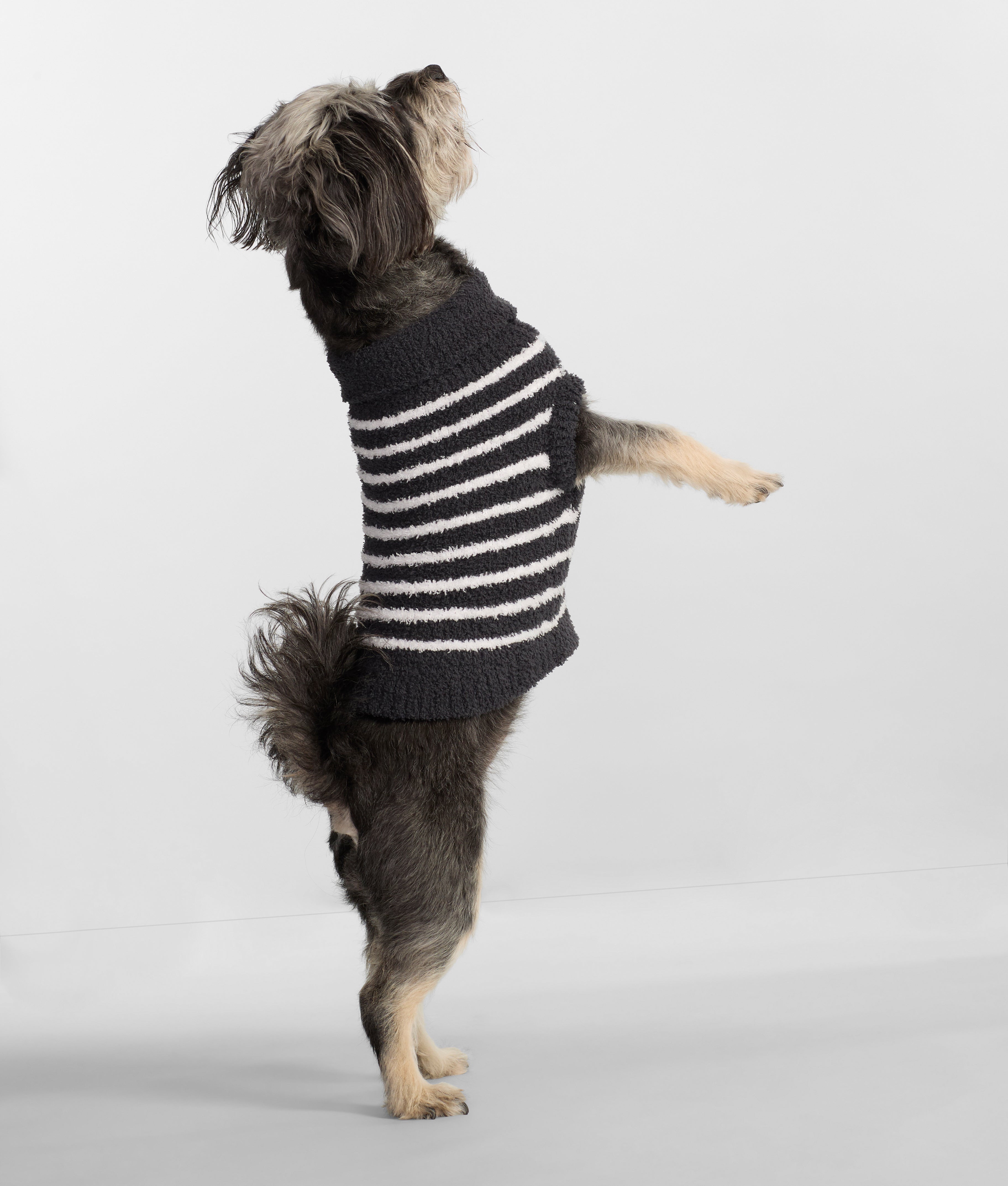 The Cozy Dog Sweater thumbnail 2