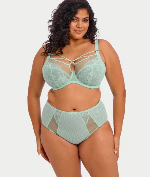 Brianna Full Brief