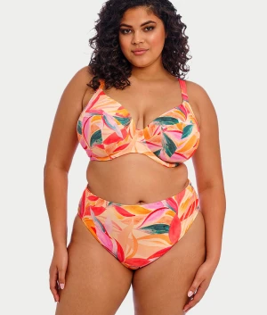 Plus Size Sancho Beach Mid Rise Bikini Bottom
