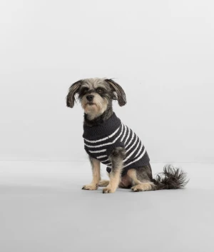 The Cozy Dog Sweater